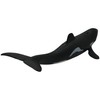 Orca Killer Whale | Marine Series | Ocean Animals Predator