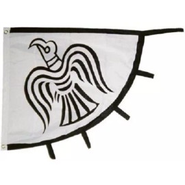 RFCO Viking Raven Flag Vikings Banner Pennant 31x36 inch Norse Pirate Ship