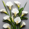 3 White Calla Lily Bulbs for Planting – Large, Healthy