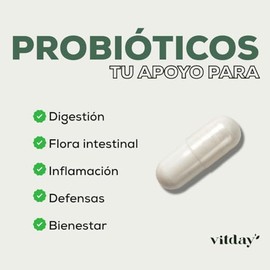 Vitday - Probióticos 100% Naturales - 90 Cápsulas Vegetales - Suplemento Alimenticio - Sin Gluten ni OGM - Vegetariano