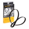 Contitech Timing Belt CT647