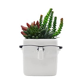 MONMOB 5"X5" White Ceramic Face Planter Pot Succulent Flowerpot DIY Painting Pencil Holder with Glasses Holder Patio Balcony Yard Lawn Ornament Gifts Ideal Gifts for Women, Mom or Birthdays