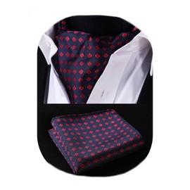 HISDERN Men's Tie Scarf Floral Paisley Ascot Tie Wedding Business Neckerchief and Pocket Square Set, Z01 - Navy & Red