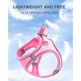 JUFOO XXS Pink Soft Mesh Dog Harness and Leash Set,No Escape Puppy Harnesses for Training Walking， Reflective Adjustable Puppy Vest for Small Medium Dogs, Cats (Pink, XXS)