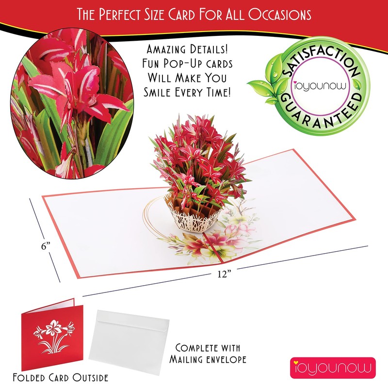 IOYOUNOW Red Amaryllis Flower Bouquet - 6x12 Inch Pop Up