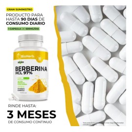 Berberina HCL Al 97% Clorhidrato (90 Cápsulas Para 90 Días) [Potente Formulacion] | Alta Concentracion| Absorcion Potenciada | Maxima Eficacia | Calid