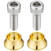 POSH 270308 Top Bridge Fastening Bolt Set (2 Pieces/Set) Gold
