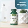 VORST Artemisinin 200mg Per Serving (100mg Per Capsule) 60 Vegan