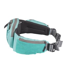 Mountainsmith Sprint Lumbar Waist Fanny Hip Pack, Running, Hiking, Travel, Dog-Walking, Outdoor Activities with 4 Zippered Pockets, Cascade Teal
