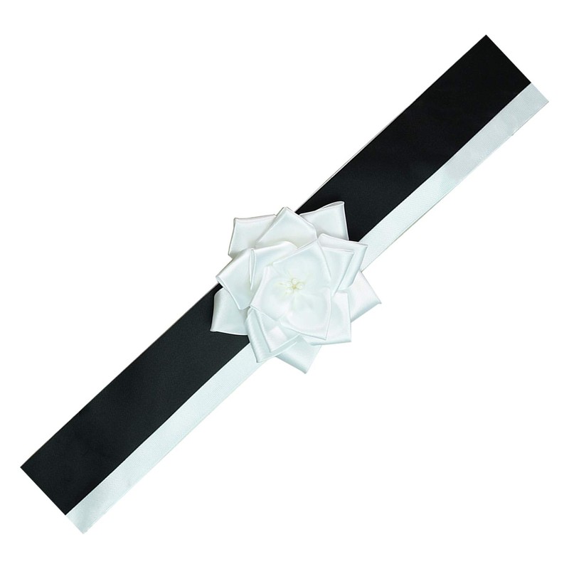 FUJICOLOR 905339 Portrait Picture Frame, Ribbon, Black