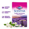 Clorox Scentiva Fabric Softener Dryer Sheets, Tuscan Lavender & Jasmine