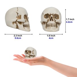 READAEER Resin Skull Decor 2 pcs/Set