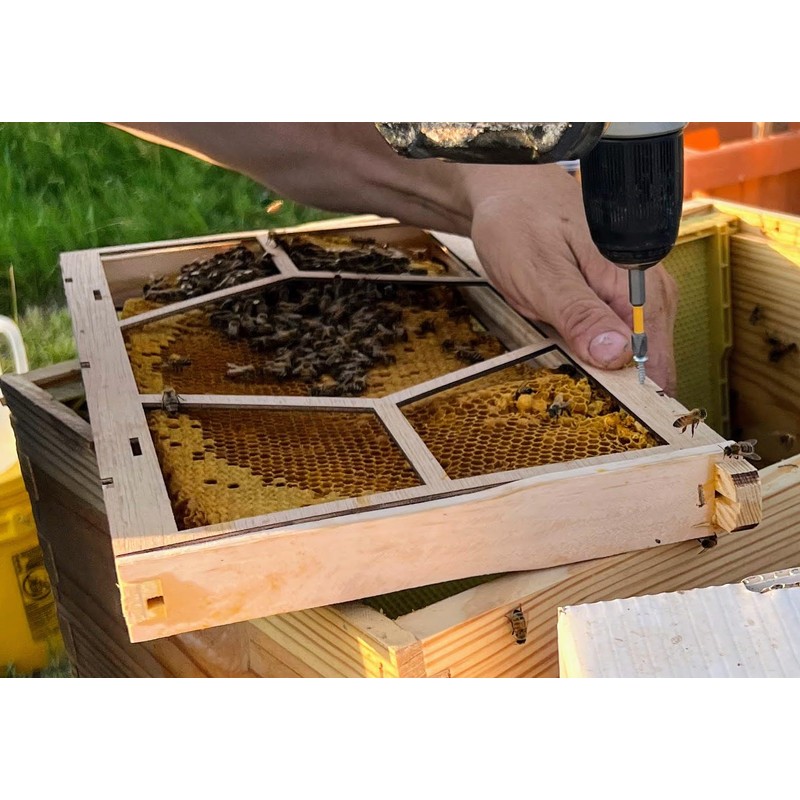 Anthony's Beehive New Essential Beekeeping Tool for Easily Securing Hive