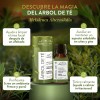 Aceite Esencial De Árbol De Té 15ml100% Puro Difusor-aroma
