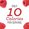 Skinnygirl Sugar Free Kosher Preserves, Raspberry, 10 Ounce (Pack of