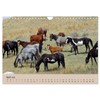 Wildpferde. Frei wie der Wind (Wandkalender 2026 DIN A4 quer),
