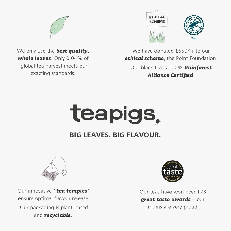 teapigs Strawberry & Juniper Tea Bags - Herbal Tea Fruit