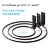 Plant Holder Ring 8 Inch Wall Mounted, 6 Pack Flower