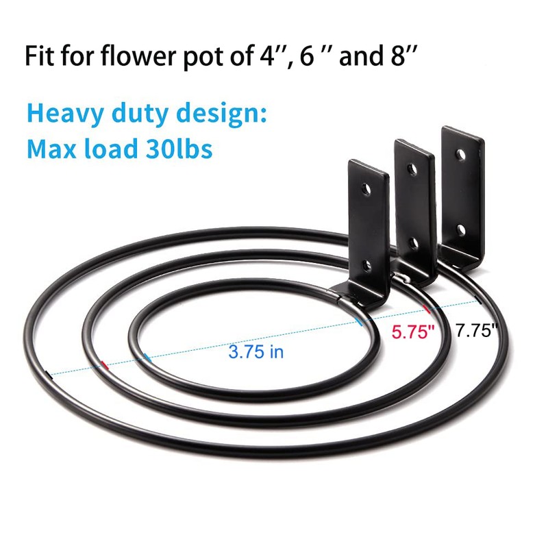 Plant Holder Ring 8 Inch Wall Mounted, 6 Pack Flower
