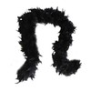 Cynthia's Feathers 80G Turkey Chandelle Feather Boas Over, Black, Size
