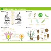 Gakupo Learning Posters to Remember in the Bath, Science 1st