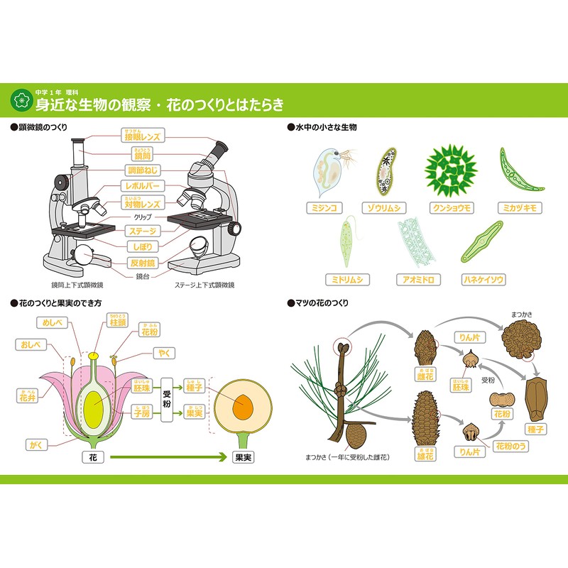 Gakupo Learning Posters to Remember in the Bath, Science 1st