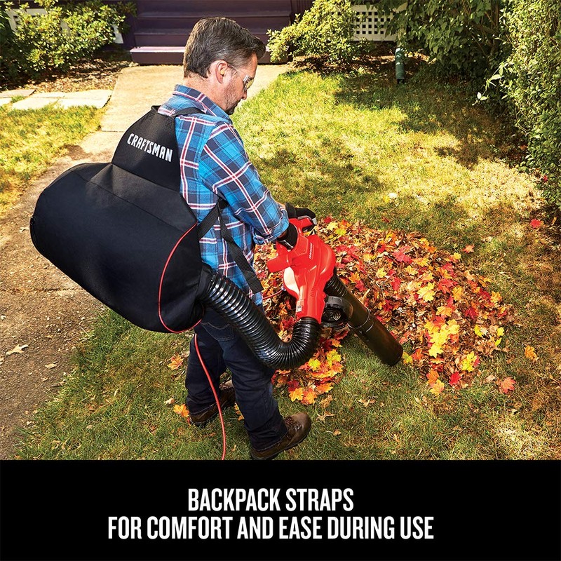 CRAFTSMAN 3-in-1 Leaf Blower, Vacuum and Mulcher, Backpack Blower Up