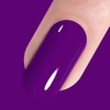 Vishine Gel Nail Polish, 1Pcs 16ml Purple Gel Polish Soak
