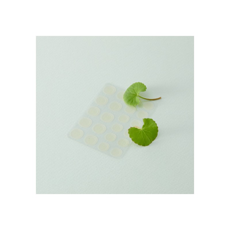 Mediheal Derma Clear Madecassoside Blemish Spot Patch 6-Pack / 메디힐