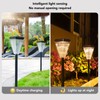 Solar Lawn Light Waterproof Color Temperature Adjustable Auto On Off