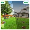 ZHEN TING 24 Pack Snake Repellent for Yard Powerful, Snake