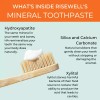 RiseWell Mineral Toothpaste, Japanese Style, Natural Toothpaste (2 Pack)