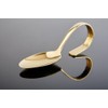 APS 691 Gourmetlöffel "CLASSIC", Länge 12 cm, 18/8 Edelstahl, Gold-Look