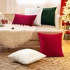 EMEMA Pack of 2 Velvet Christmas Throw Pillow Covers Decorative