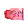 Benefit Blusher Dandelion Mini and 4 other types / 베네피트