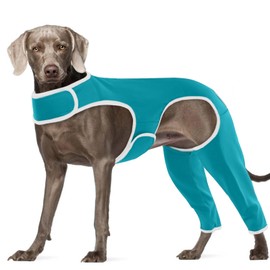 Hjyokuso Recovery Suit For Dogs - Leg Surgery Suit, Lick Sleeve, Elbow Protector - Prevents Licking, Bite & Infection - 2XL