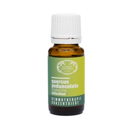 RATHAUS APOTHEKE WIEN konzentrierter Knospenextrakt - Gemmotherapie - Quercus peduncolata - Die Stieleiche, Kätzchen - 15 ml