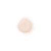 POLA B.A Finishing Powder N 0.6 oz (16 g) [Face