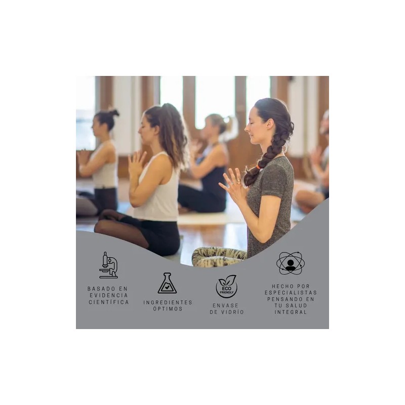 Thefitlab-iron B-suplemento De Hierro, Vit C, Grupo B Y Zinc