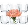CONNOO 6 Pack Square Glass Vase 5" x 5" x