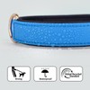 Didog Dog Collar with Soft Padding, Strong Dog Collars with