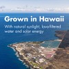 NUTREX HAWAII Pure Hawaiian Spirulina - 1000 mg Tablets 180