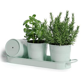 BSTMOME Herb Pot Planter Set with Tray, Decorative Metal Succulent Pots Windowsill Planter Pots Flower Pot for Indoor Garden Outdoor Use Kitchen Grow (Green)