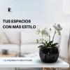 Maceta De Cerámica Esmalte Negro Para Orquídeas Pequeñas Calada Redonda