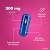Birdman Resveratrol 300 mg | Antioxidante Natural | Sin Aditivos