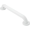 Moen Glacier White Bathroom Safety 18-Inch Shower Grab Bar with