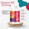 Vitamin B6 22.5 mg – Vegan – Bulk Pack –