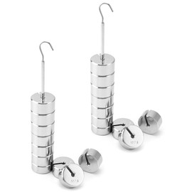 QWORK Lab Slotted Mass Set, 2 Set of Chromium-Plated Metal Slotted Weights, One Set - Total 1000g - Includes 9 Weights (100g Each) & One Hanger (100g)