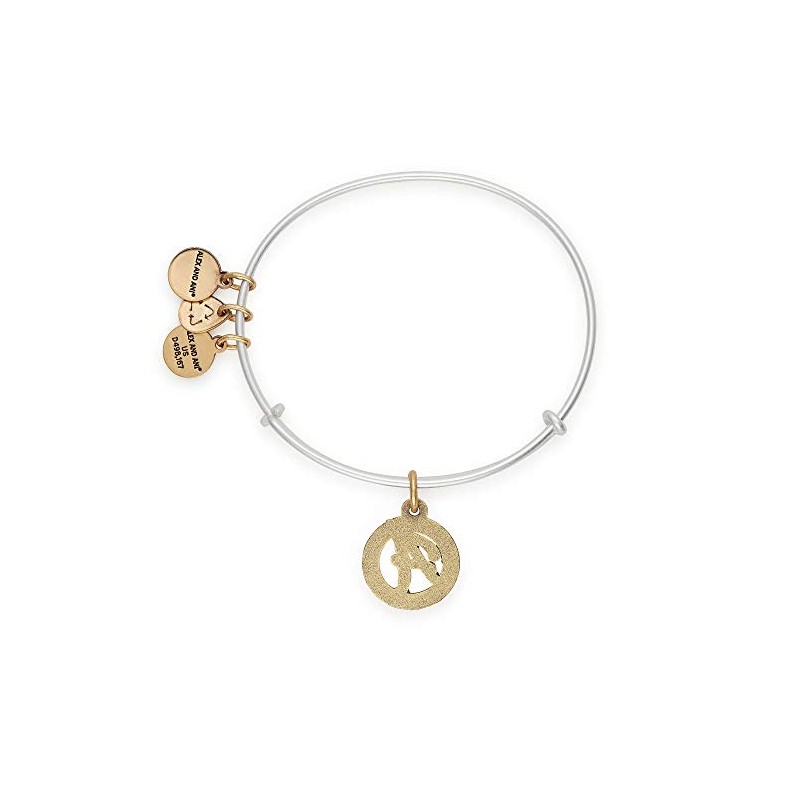 Alex and Ani Womens Initial A Charm Bangle