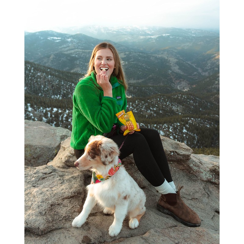 Crispy Fruit Favorite Flavors Freeze Dried Fruit Variety Pack (16